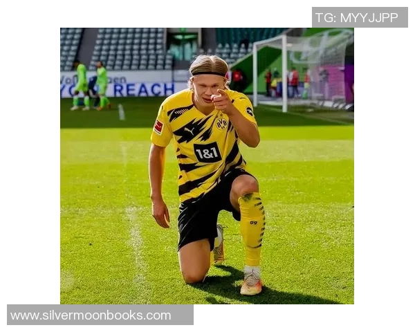 足球明星的9号背后故事与传奇时刻揭示了他们的荣耀与奋斗历程