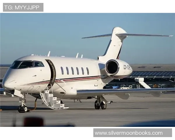 足球明星私人飞机价格揭秘奢华与实用的完美结合分析