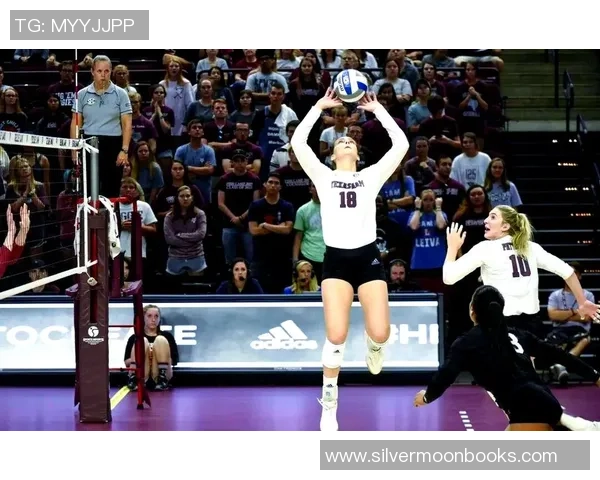 排球焦点：杭州排球队的技术探讨